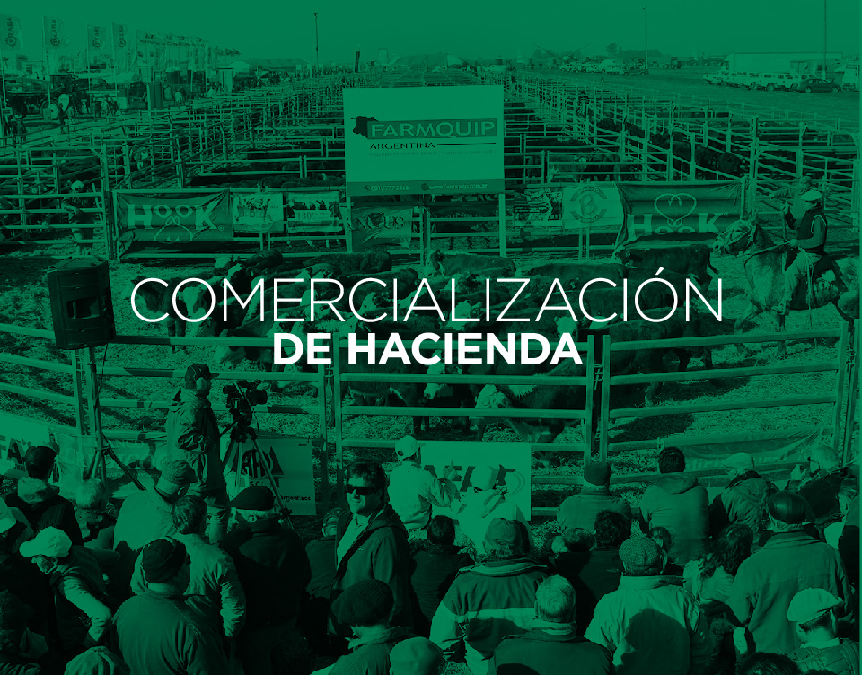 Comercialización de Hacienda