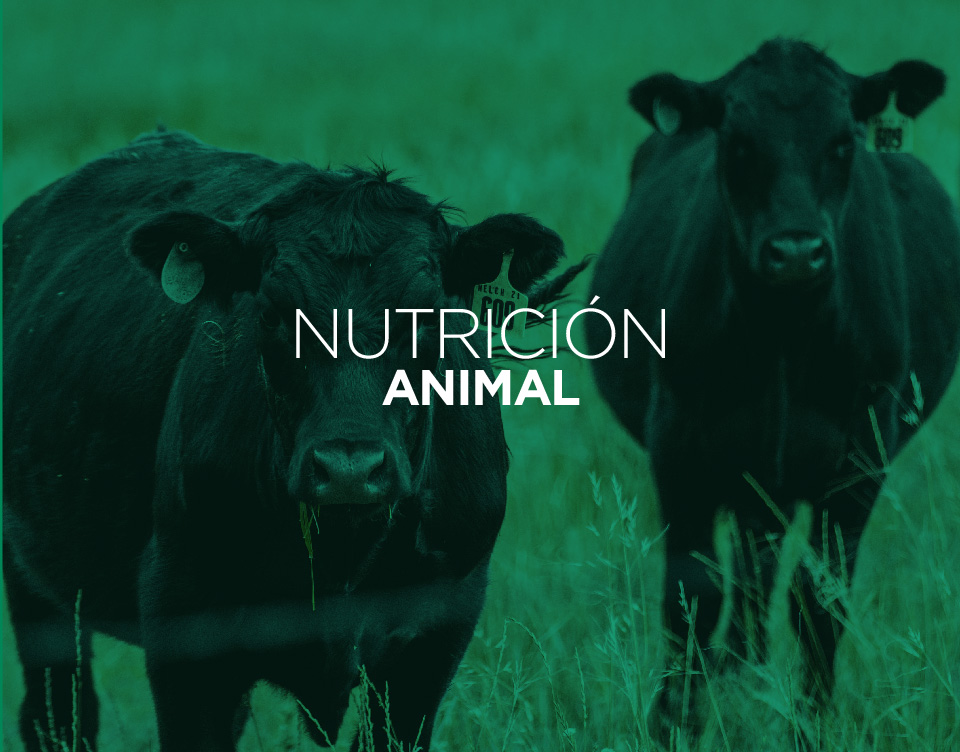 Nutrición Animal