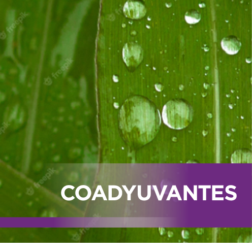 COADYUVANTES