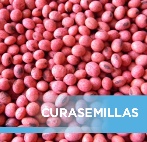 CURASEMILLAS