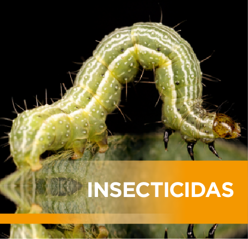 INSECTICIDAS