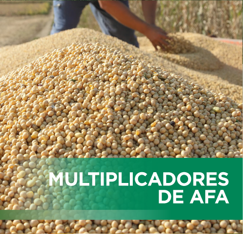 MULTIPLICADORES DE AFA