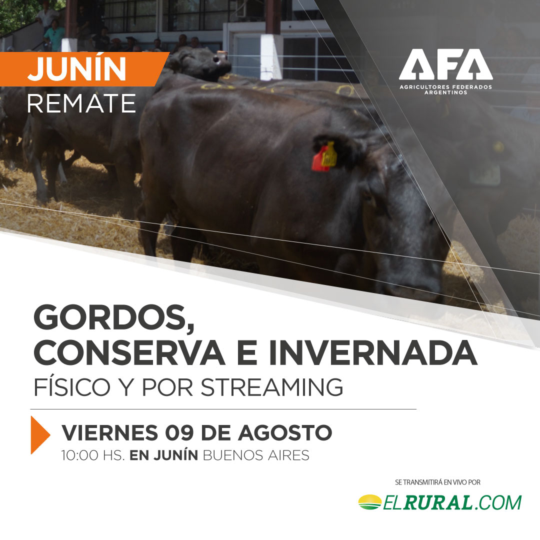 24-08-09-junin