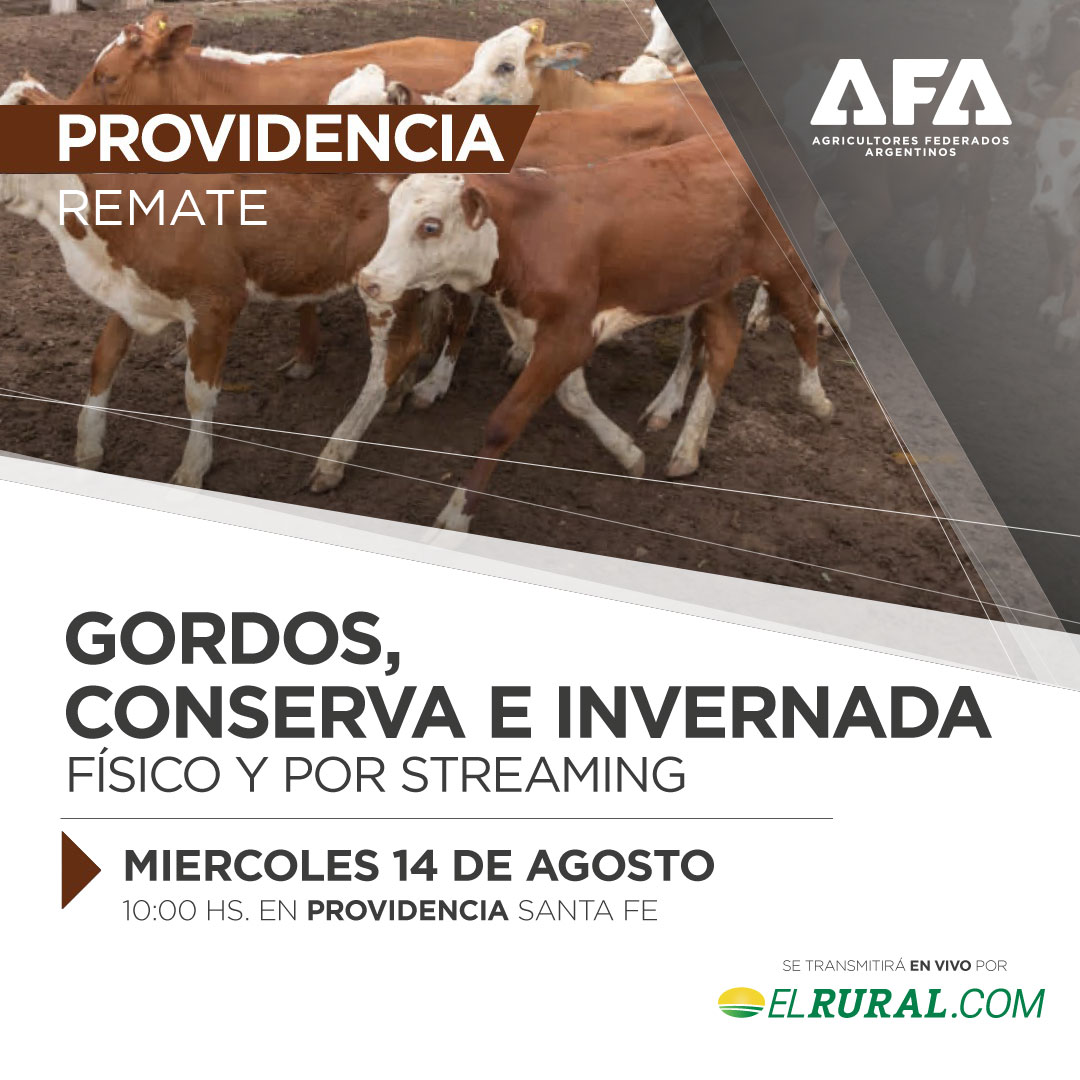 24-08-14-providencia